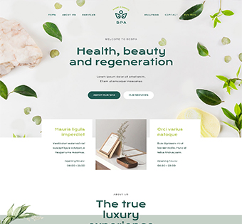 Previsualización Web 05